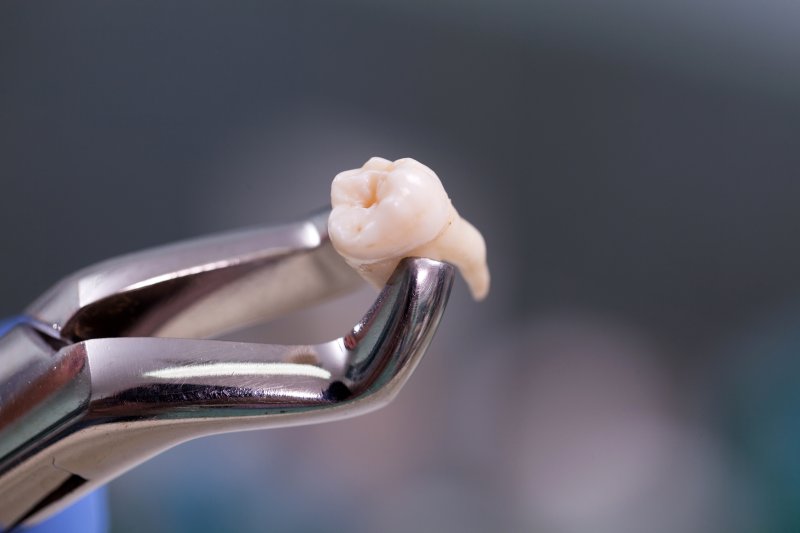 A recently extracted tooth
